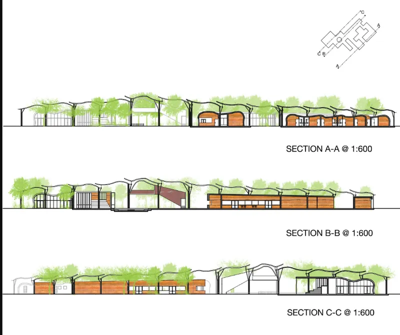 Section drawings showing the undulating roof canopy over timber volumes with trees and landscape