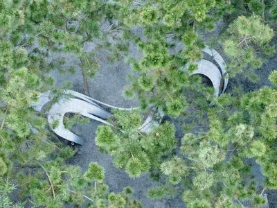 Suzi Beauty Rely by Kong Xiangwei Studio: A Sculptural Bench Intertwining Nature, Art, and Human Connection