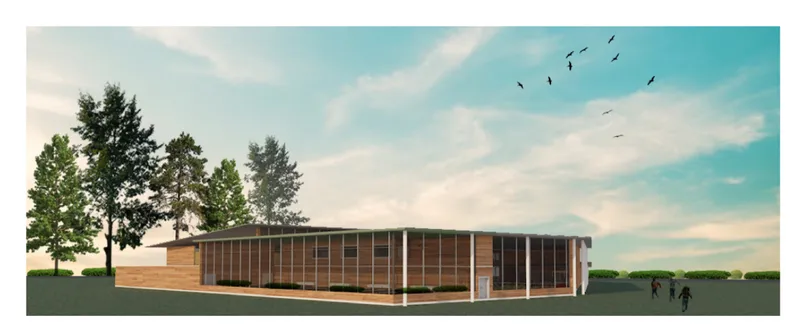 Corner view rendering of the low-lying timber and glass structure with birds overhead in afternoon light