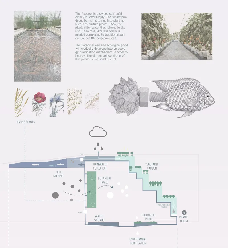 Diagram illustrating aquaponic water cycle from fish keeping through botanical wall to vegetable garden and ecological pond