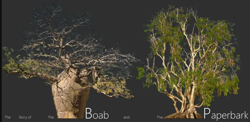Exhibit display showing two preserved native trees against a dark background with informational text labels