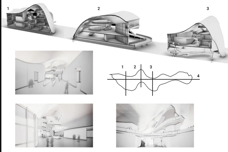 Section drawings and interior renderings showing spatial volumes beneath the undulating shell roof