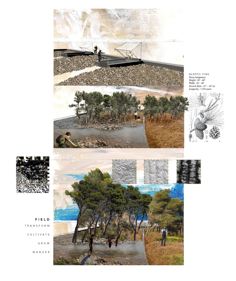 Design board depicting gravel terraces, Aleppo pine groves and walking figures in layered landscape vignettes