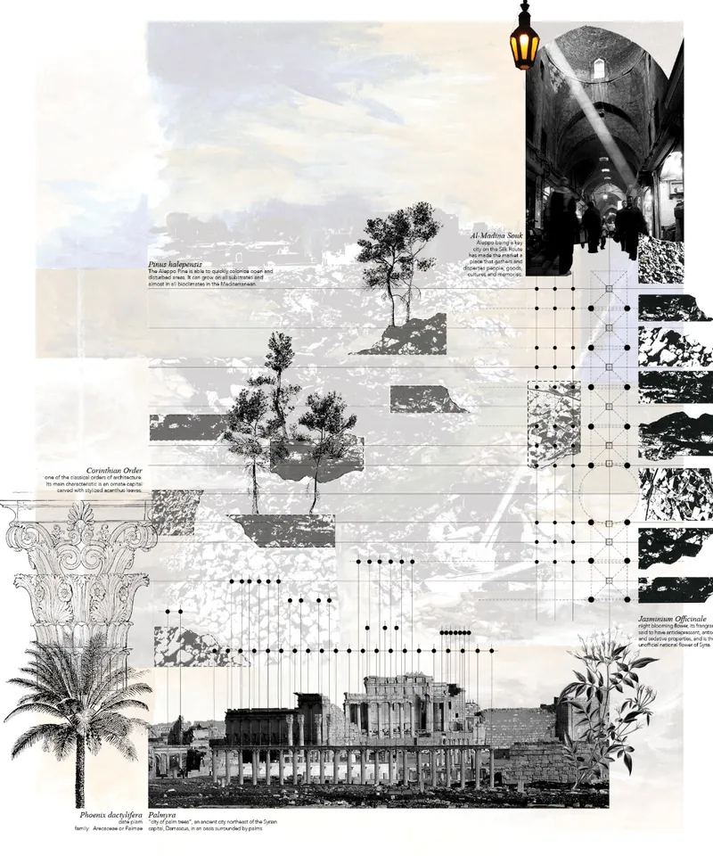 Presentation board layering historic photographs, architectural fragments, palm trees and a ruined colonnade structure
