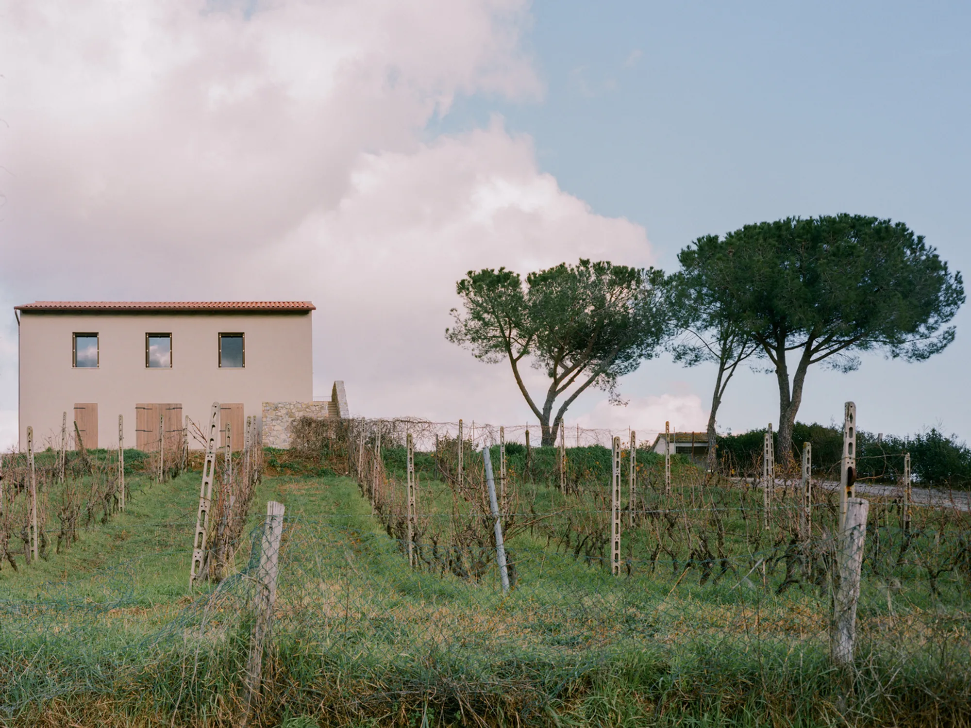 Ricupaglia Farmhouse: Contemporary Farmhouse Renovation in Tuscany’s Vineyard Landscape