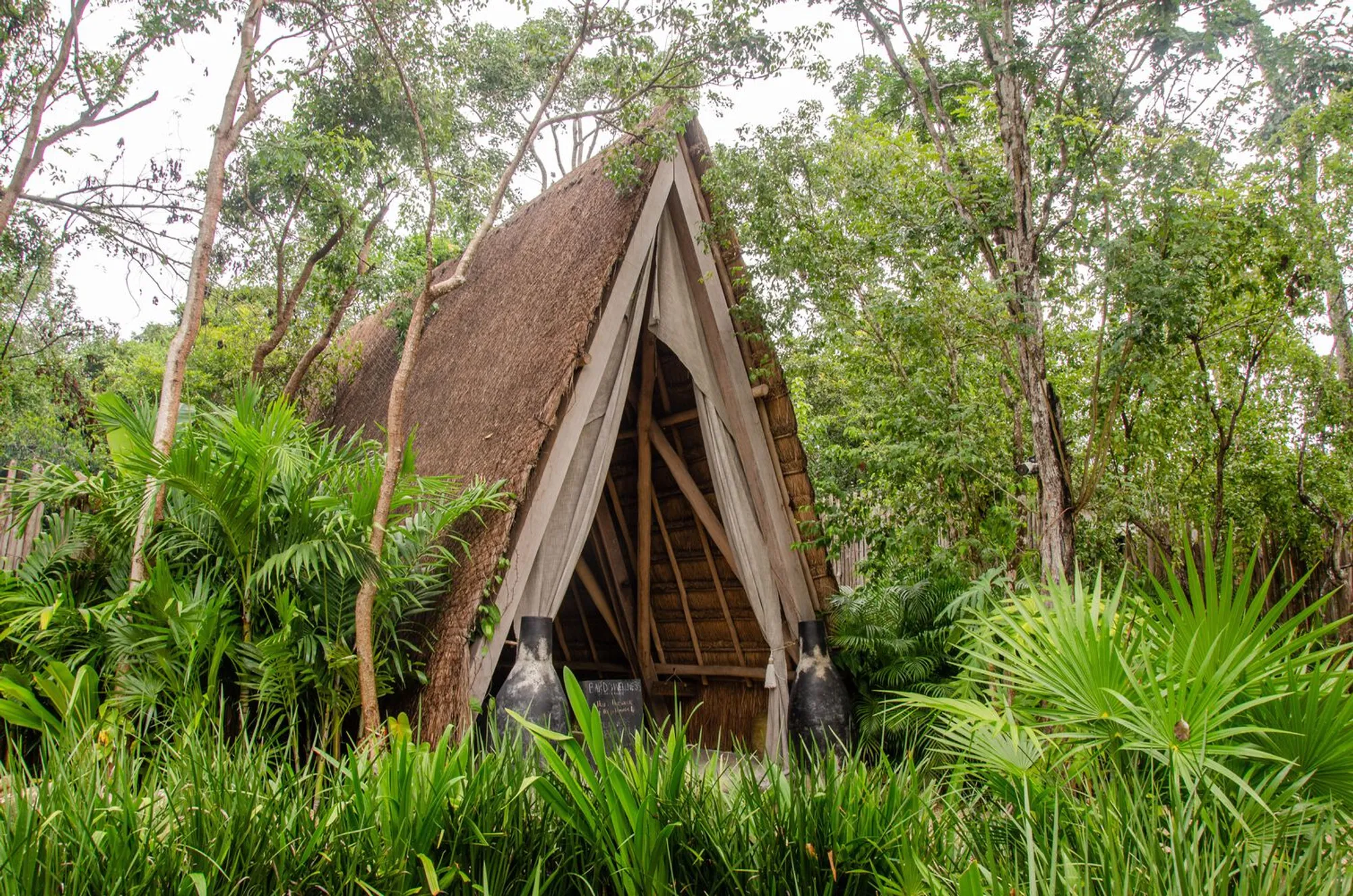 Hotel Bardo by Taller de Arquitectura Viva: A Sanctuary of Conscious Design in the Mayan Jungle