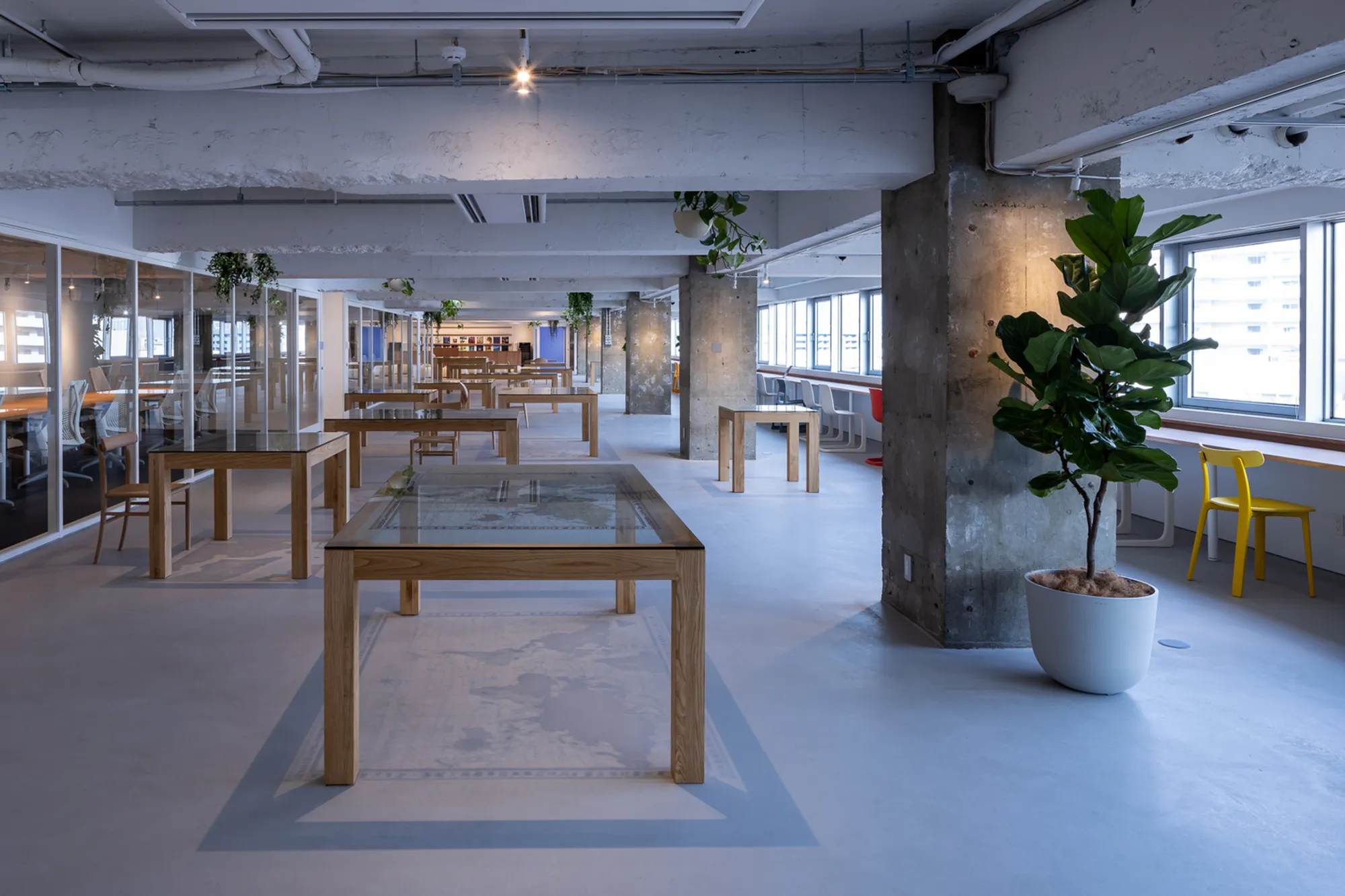 Earth-Centric Office Interior Design: Takeshi Hosaka Architects Reinvents Workplace Sustainability at Earth Centric Design Lab