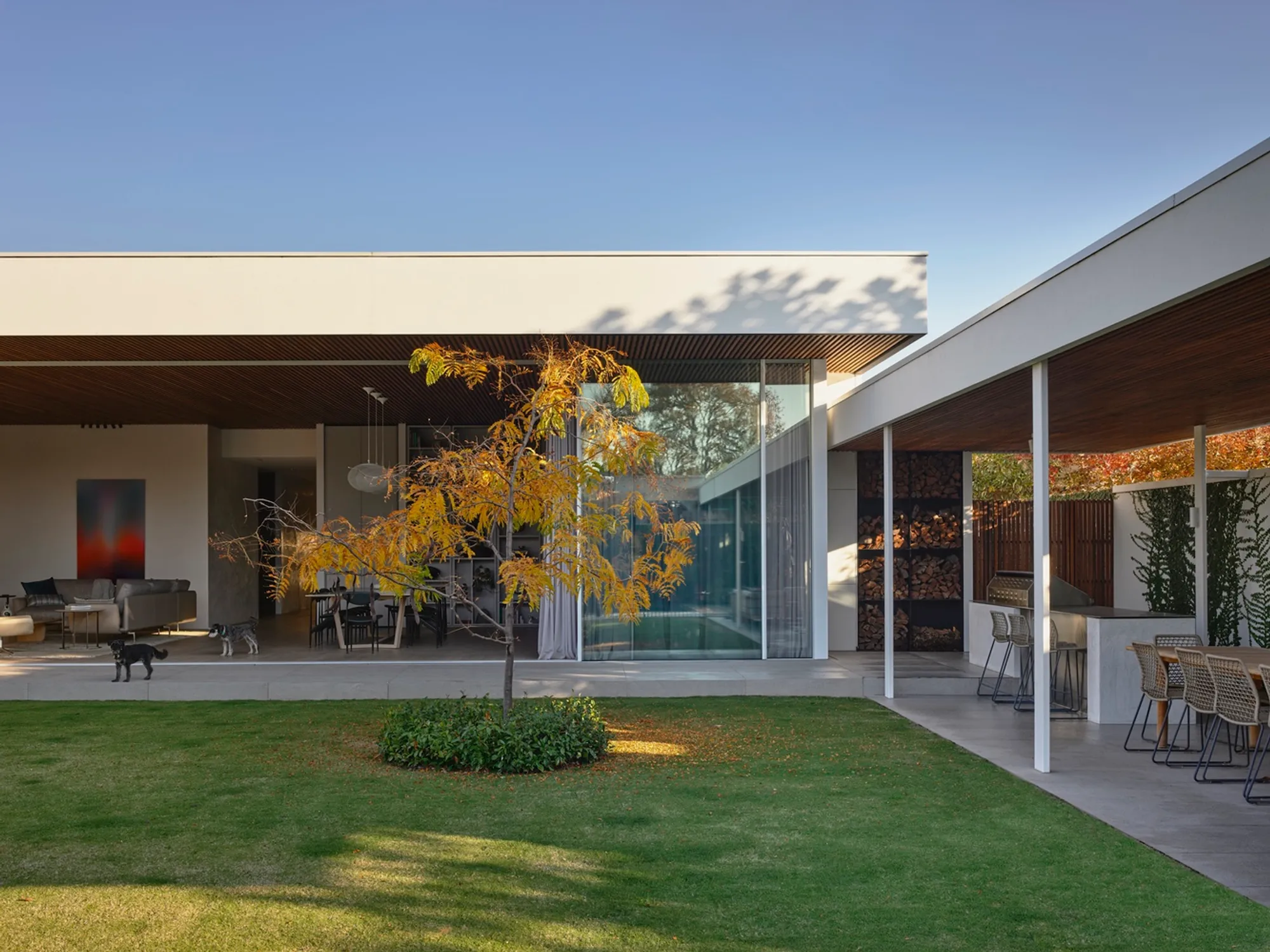 Linea House by Wolveridge Architects: A Biophilic Residential Architecture Masterpiece in Sandringham