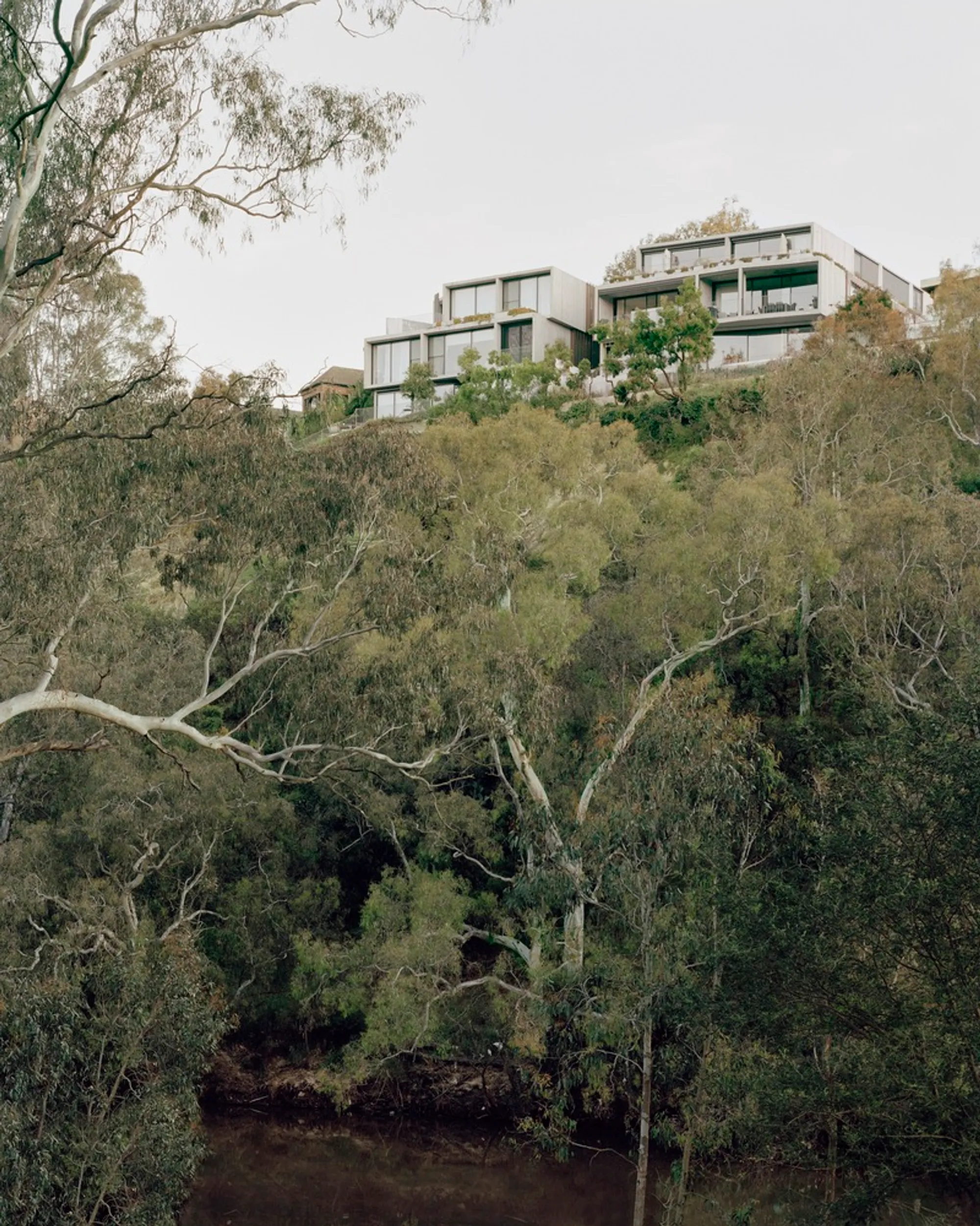 Fenwick Residences by Edition Office: Sculpting Architecture into the Landscape of Kew, Australia