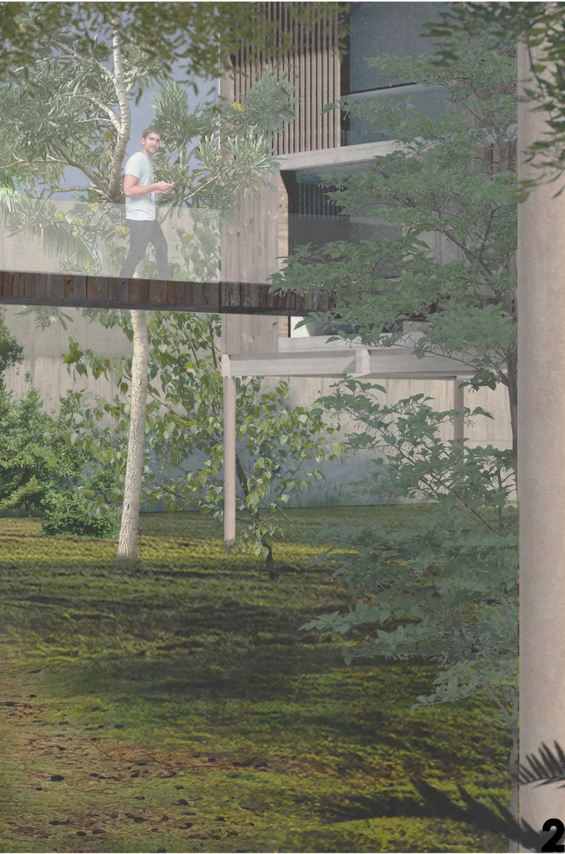 Pedestrian crossing timber bridge between residential buildings with trees and moss ground cover below