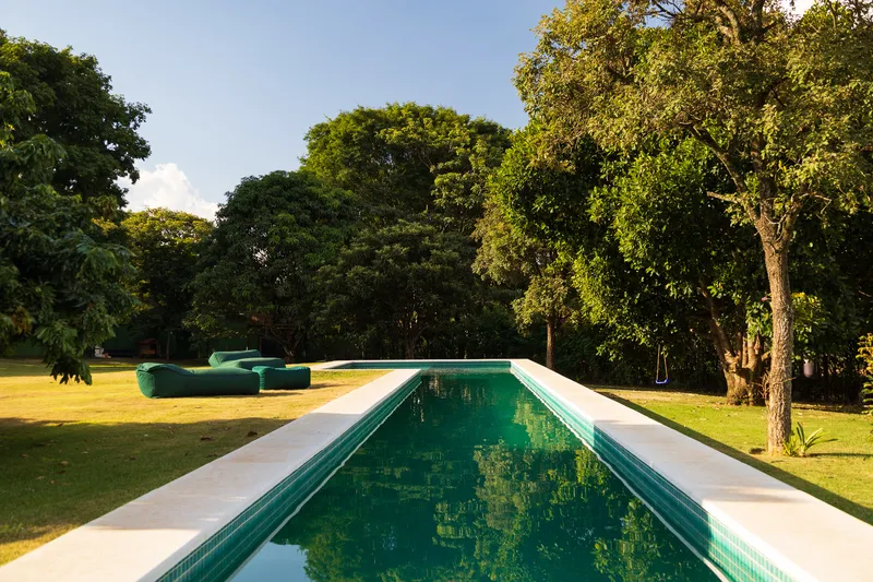 Rectangular lap pool with green tile and white coping framed by lawn and trees in afternoon light