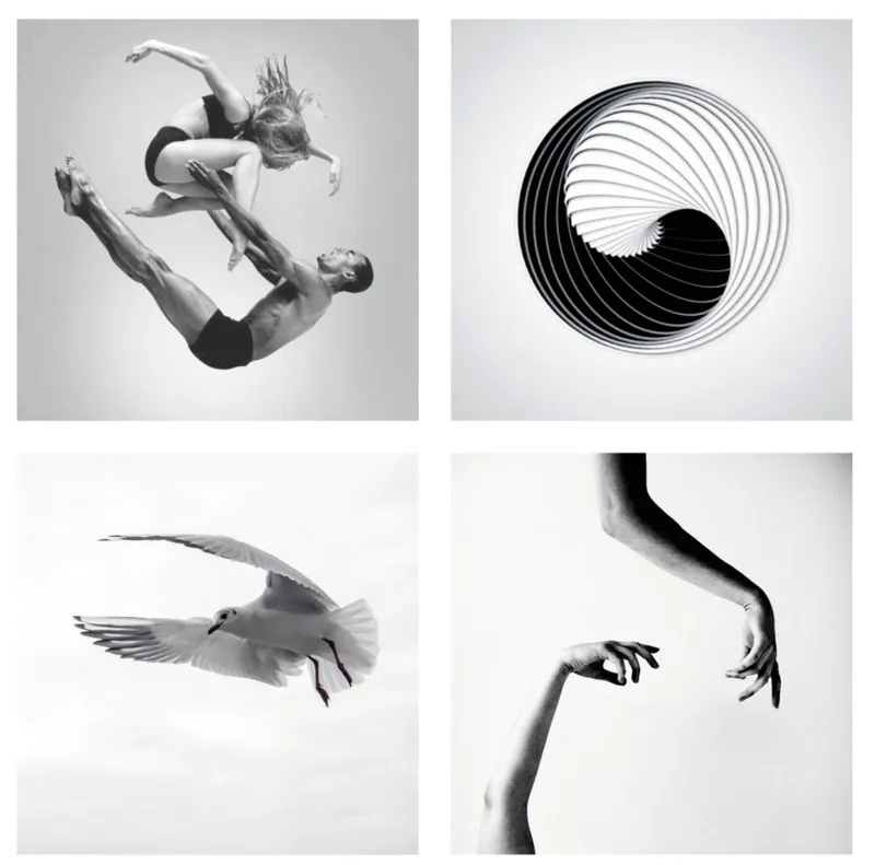 Four black and white photographs showing dancers, a spiral drawing, a bird in flight, and intertwined hands