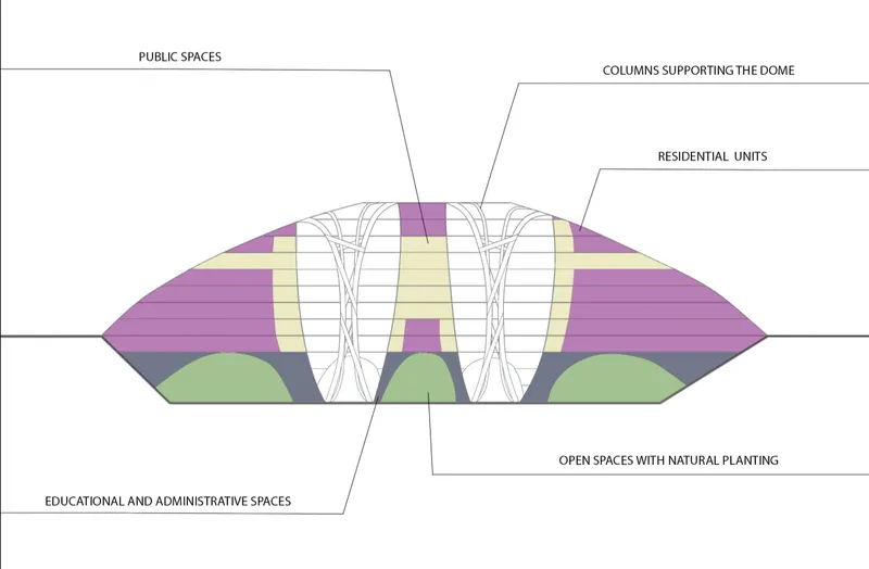 Section drawing showing the distribution of residential units and public spaces within a domed structure