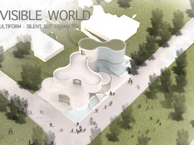 THE INVISIBLE WORLD