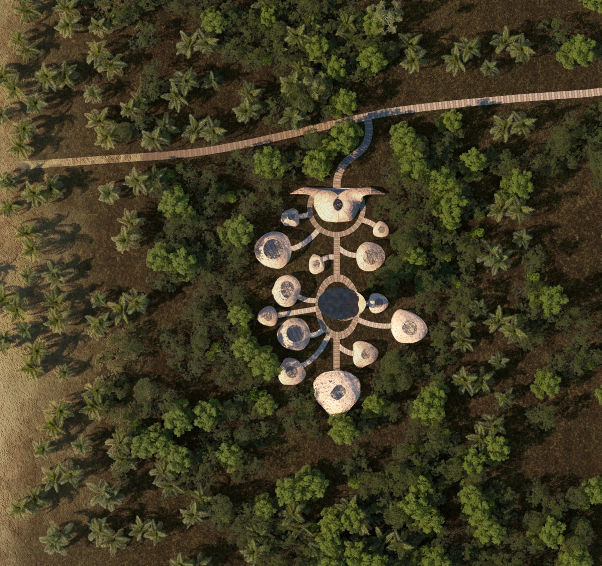 Nests