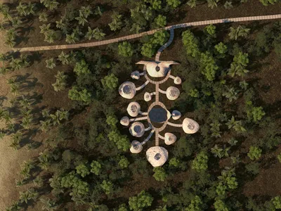 Nests