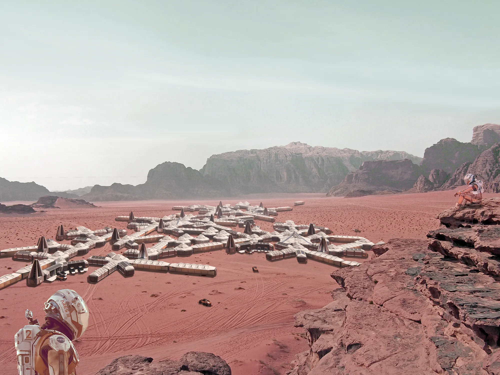 THE MARTIAN LICHEN