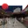 Cultural