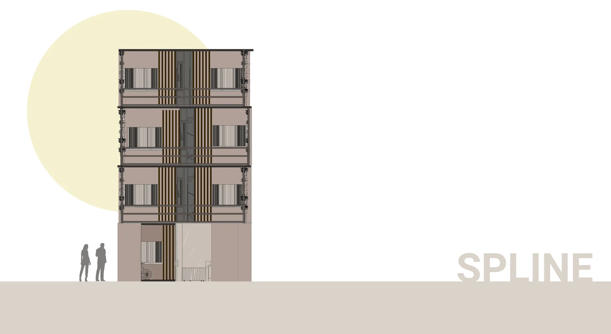 Spline