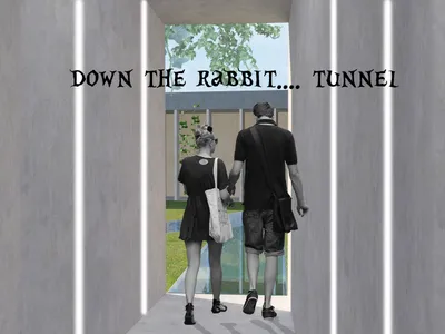 Down to rabbit.... tunnel !