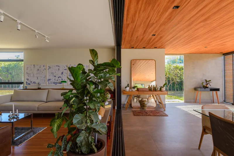 Open living space with exposed timber ceiling plane and potted plants near the sofa
