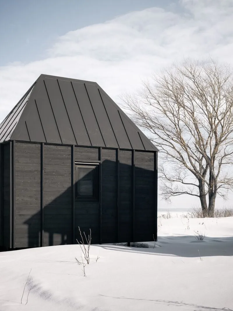 Gabled volume with black-stained wood cladding and vertical metal roof seams beside a bare tree