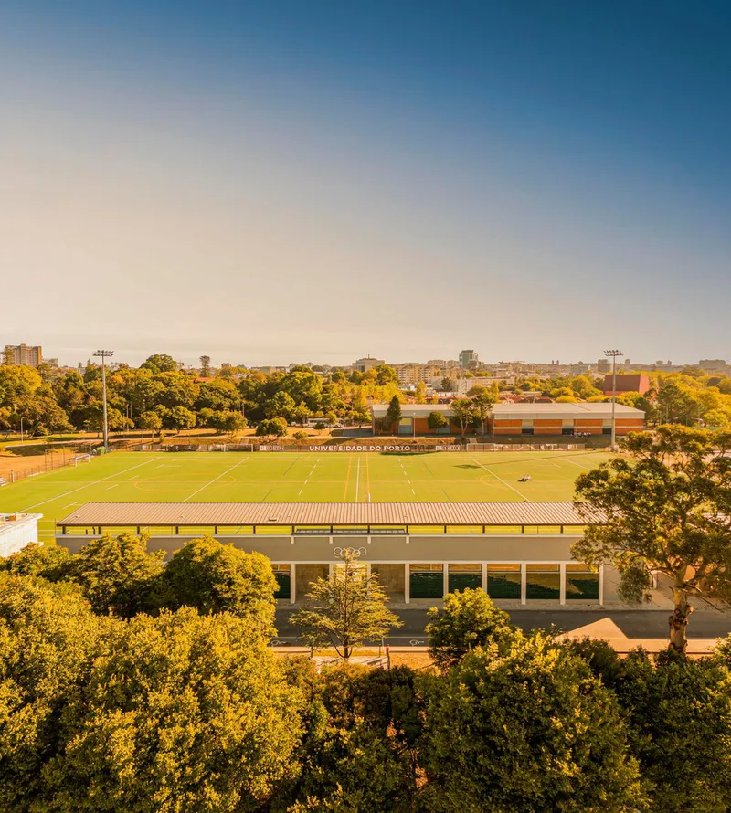 Aerial view of the low horizontal pavilion framed by trees in afternoon light