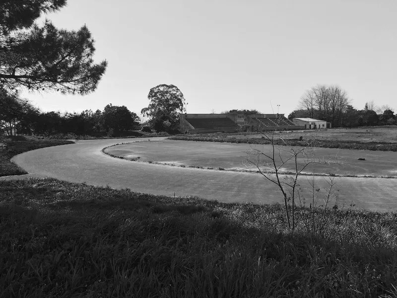 Curving concrete pathway winding through a landscape with scattered trees and bare winter grass
