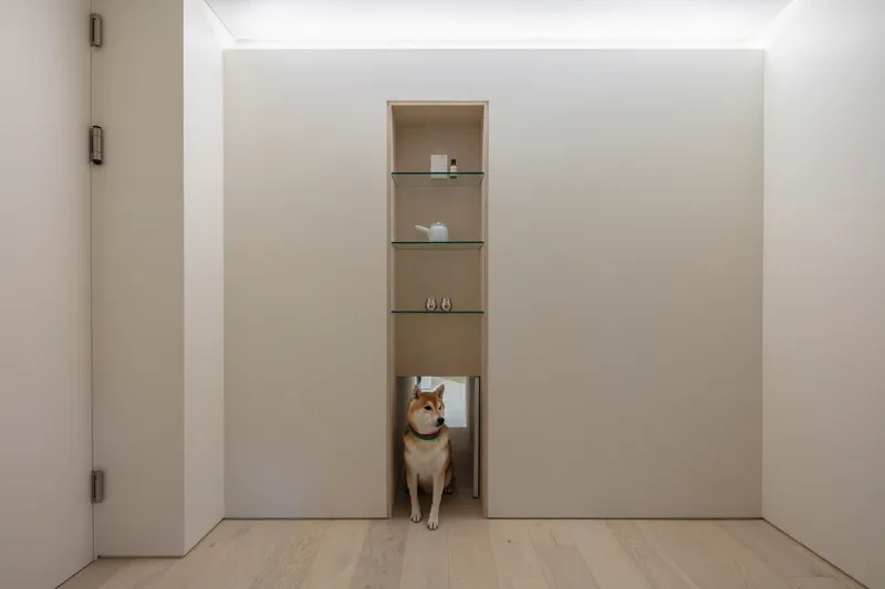 Recessed wall niche with glass shelves and a dog sitting in the lower opening