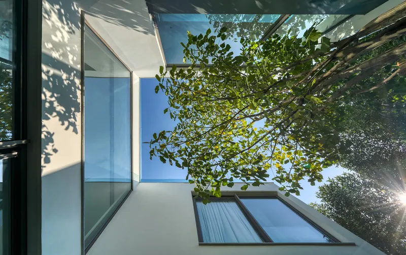 View up through glazed courtyard opening showing tree canopy and blue sky