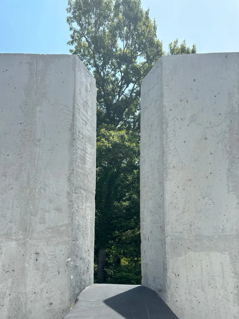 Vertical slot in board-formed concrete walls framing a tree in bright daylight
