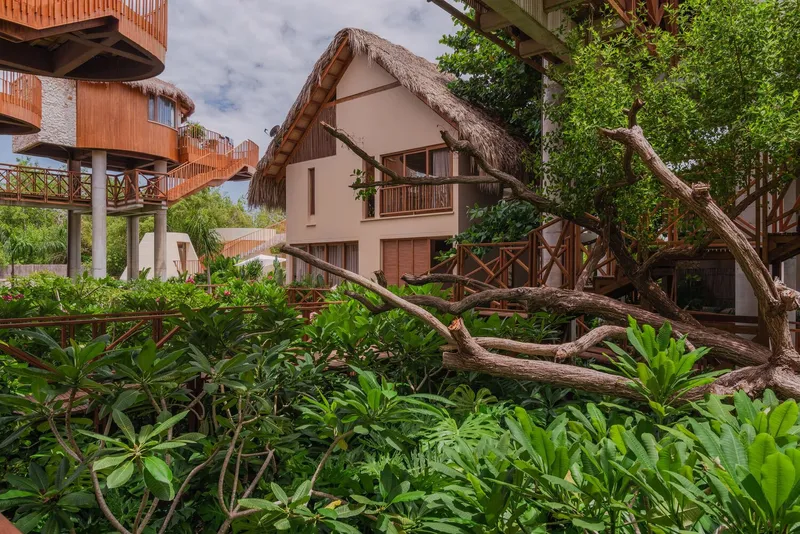 Thatched-roof pavilion with timber railings surrounded by tropical planting and gnarled tree branches