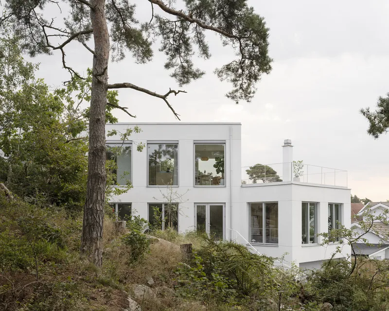 White rendered facade with large windows framed by mature pine trees and native vegetation