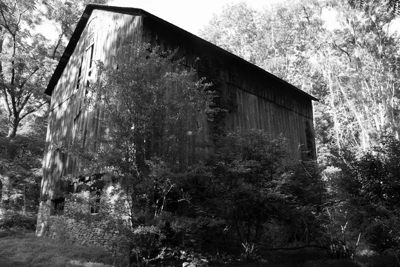 Black and white view of weathered timber facade rising from stone foundation among dense vegetation