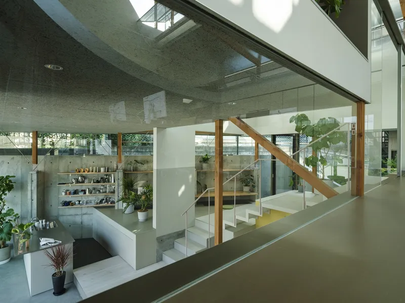 Multi-level interior with diagonal timber struts framing a staircase and planted zones in natural light