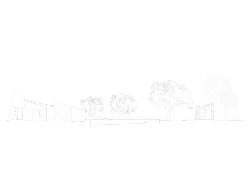 Section drawing showing low-pitched rooflines with three mature trees in the landscape