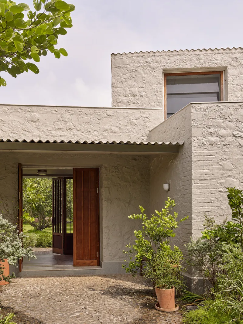 Entrance with timber door and corrugated roof overhang between potted plants and white plastered walls