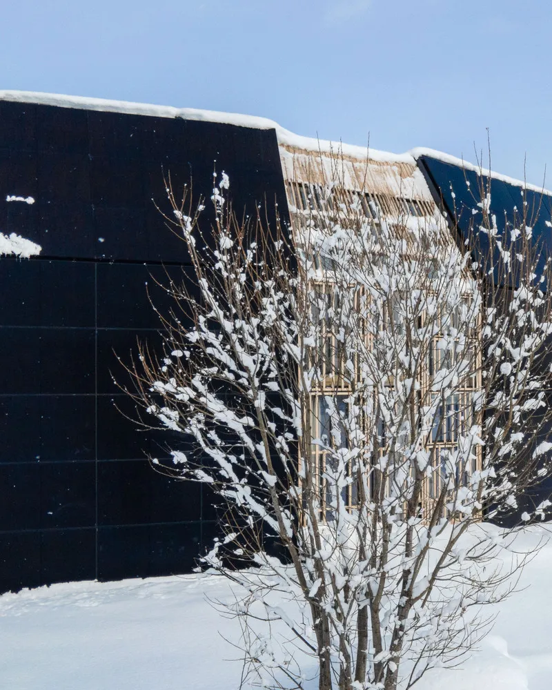 Bare shrub in snow foreground with dark panel wall and timber structure under blue sky