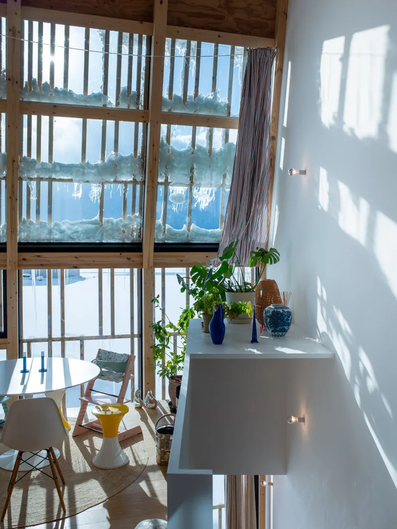 Double-height glazed wall with timber mullions and potted plants on a ledge in winter sunlight