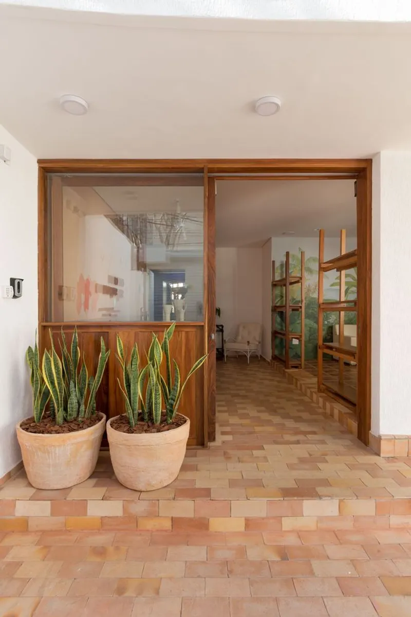 Entry threshold with timber-framed glass doors, terracotta pavers, and potted snake plants in ceramic vessels