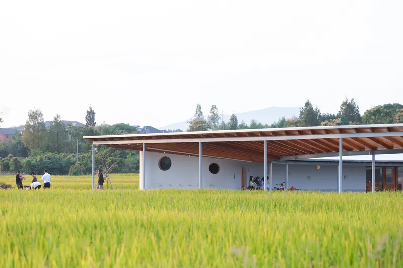 Low pavilion with overhanging timber roof and white walls seen across a golden rice field