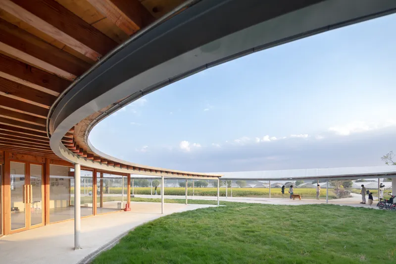 Covered walkway with curved soffit, exposed timber beams and slender steel columns at dusk