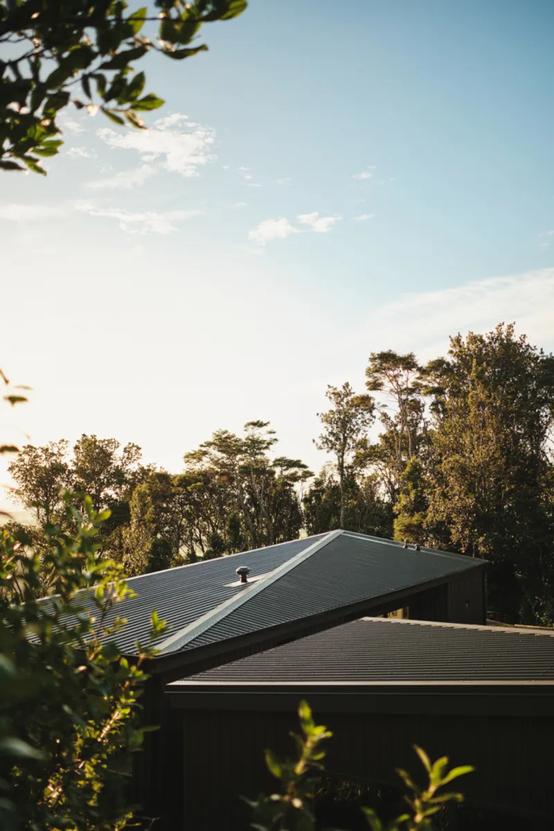 Dark corrugated metal roof emerging from dense tree canopy under afternoon sky with scattered clouds