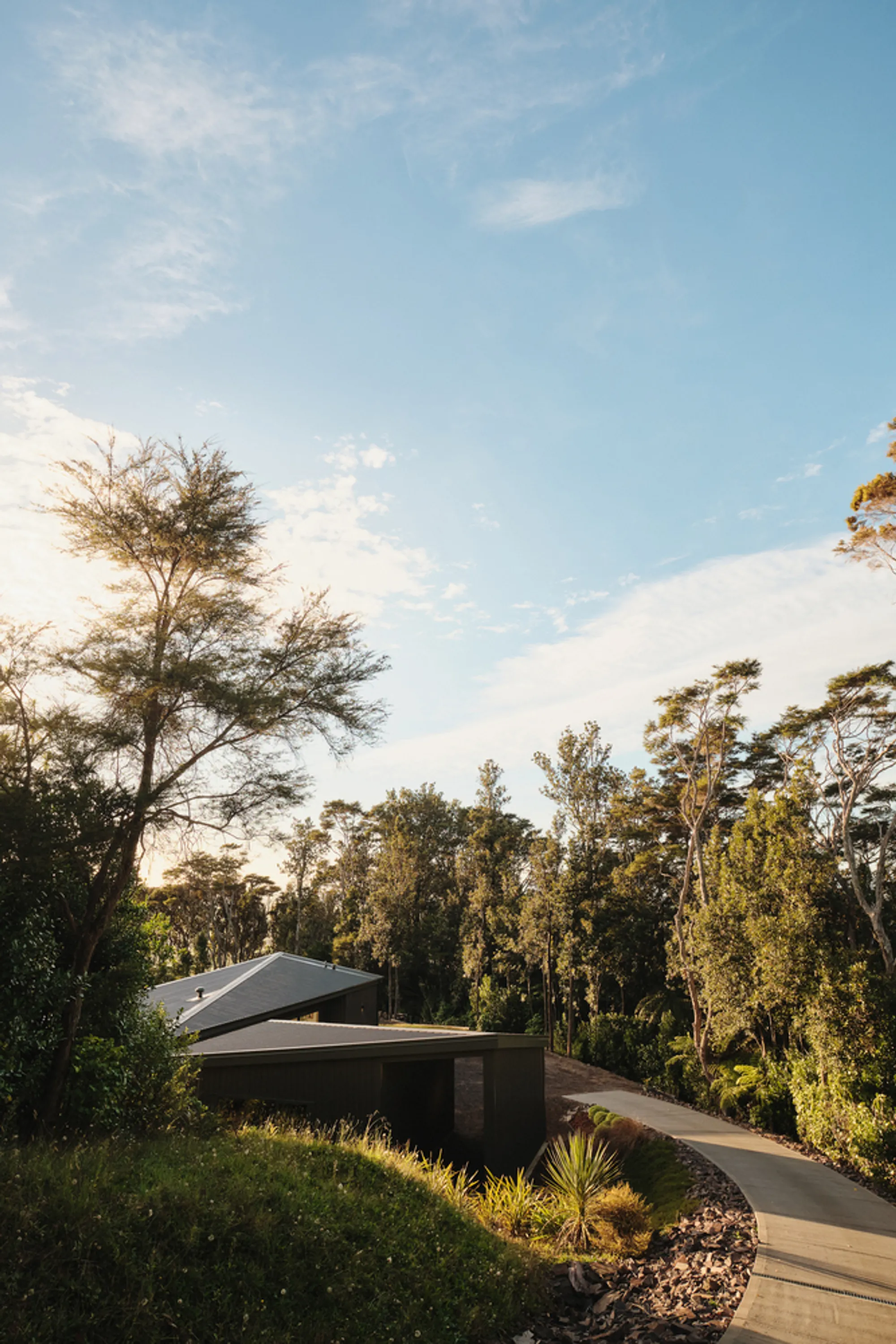 Arkhé Builds a Charred Cedar Passive House on a New Zealand Conservation Estate