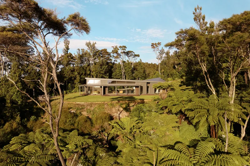 Horizontal residence nestled among native fern trees on a hillside clearing in afternoon light