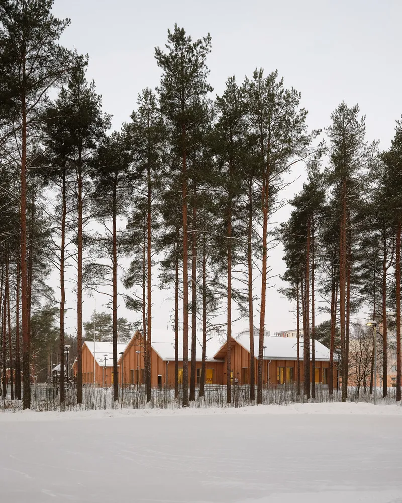Timber-clad gabled volumes seen through tall pine trees in a snow-covered clearing