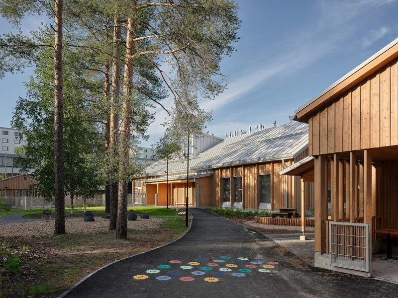 Curving asphalt pathway with colorful painted circles leading past timber-clad facades and retained pine trees