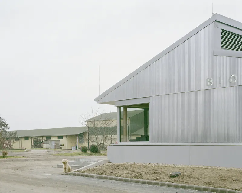 Cantilevered canopy over green-framed entrance with dog sitting on concrete paving in foreground