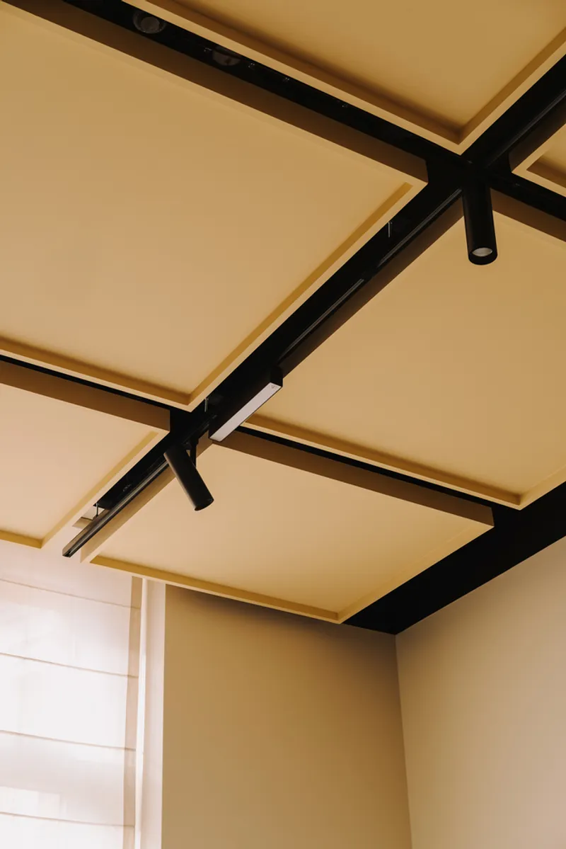 Exposed black steel beam ceiling structure with pale timber panels and integrated lighting