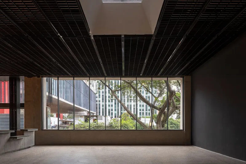 Interior gallery space with horizontal window framing a mature tree against the adjacent buildings and black linear ceiling